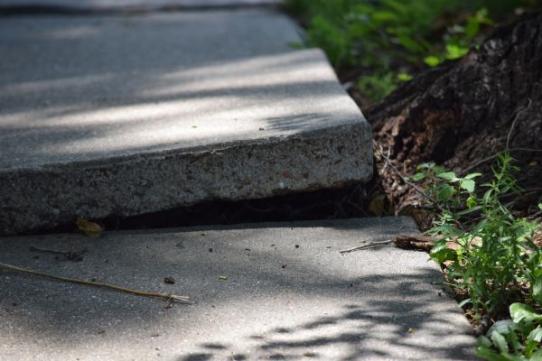 Sidewalk Leveling in Oviedo